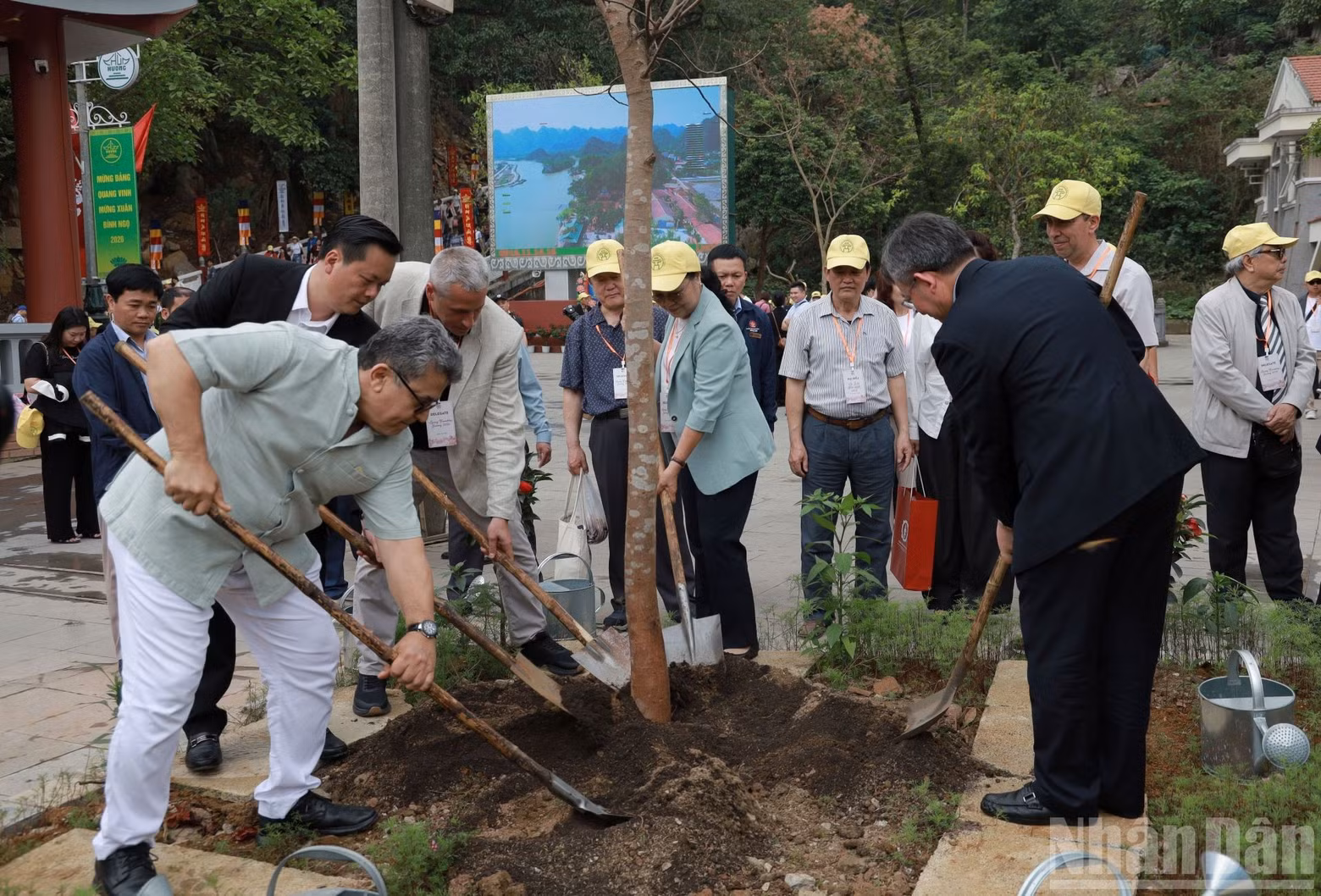 chuahuong14.jpg