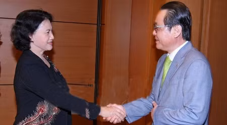 国会副主席阮氏金银会见了昌浩伊会长。（图片来源：越通社）