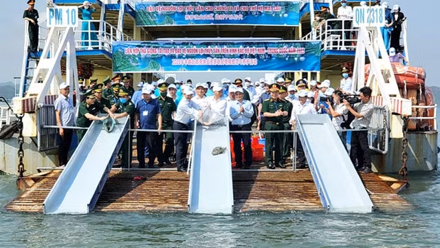 北部湾海域放流鱼苗、虾苗近800多万尾。（图片来源：广宁省报）
