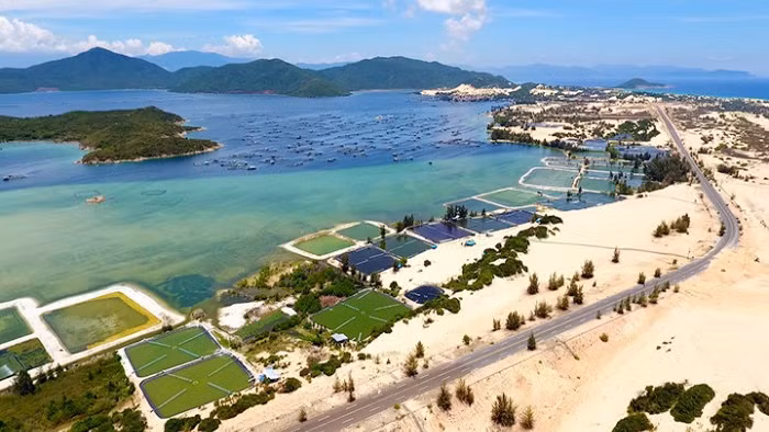 有效挖掘云峰经济区潜力。