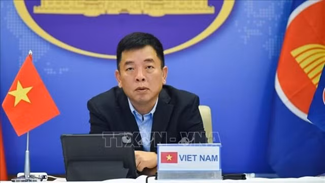 东盟高官会越方代表团代团长武胡。（图片来源：越通社）