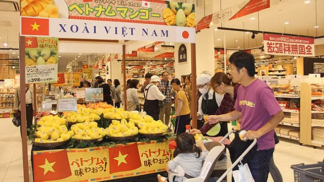 附图。
