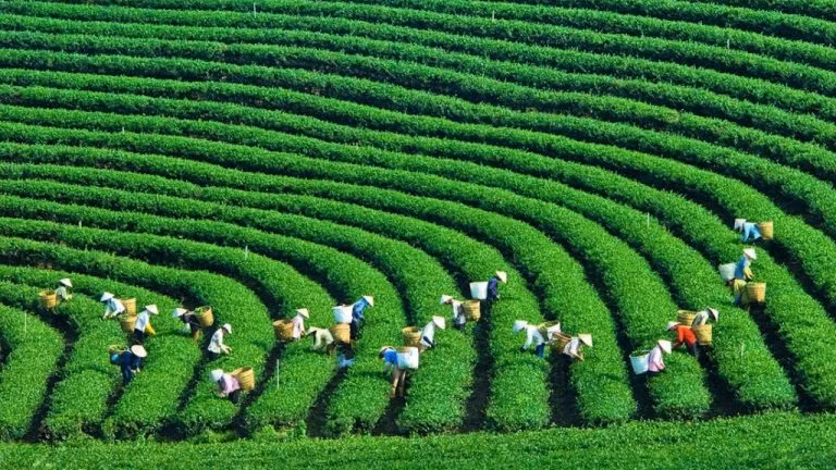 附图。