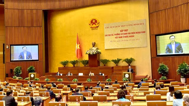 国会主席王廷惠会见越南驻外大使和代表机构首席代表。