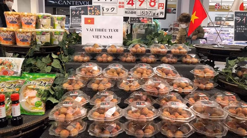 越南荔枝颇受日本消费者青睐。