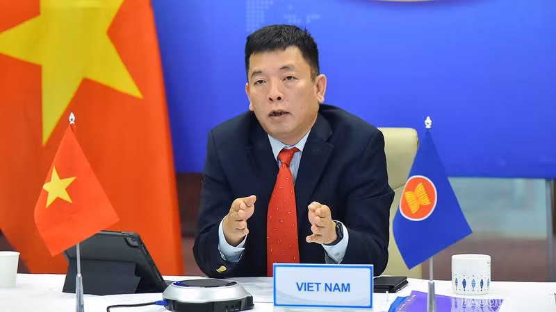 东盟高官会越南代表团代团长武胡大使。（图片来源：国际报）