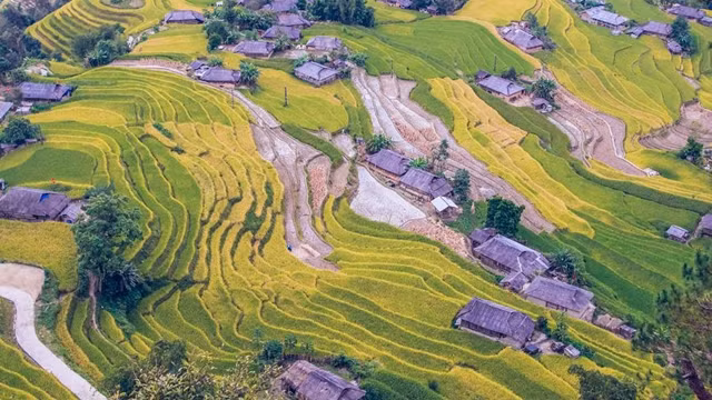 黄树皮梯田一角。