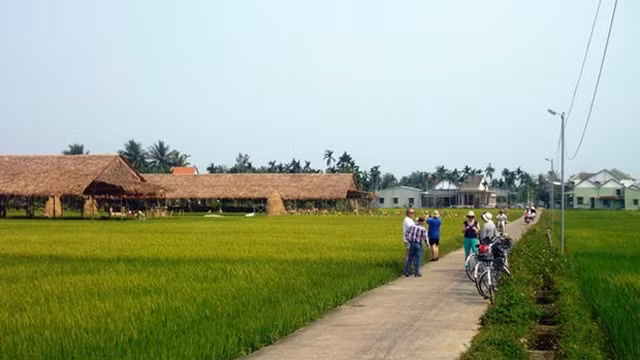 The Field(田野)餐厅——“遗产之地田野上的越南印象”活动举办地点。（图片来源：广南报网）