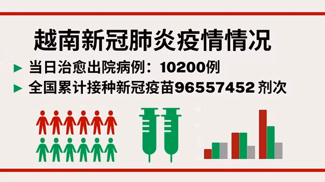 11月12日越南新增新冠确诊病例 8982例【图表新闻】