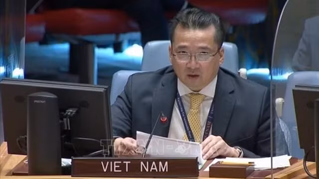 越南驻联合国代表团副团长范海英大使。（图片来源：越通社）
