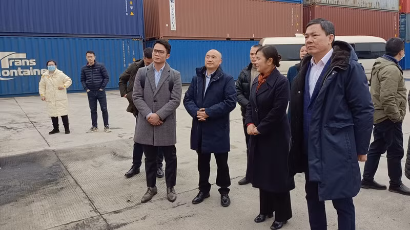越南驻华大使馆商务参赞农德来一行在中国湖南省考察双边贸易合作机遇。（越南驻华商务处供图）