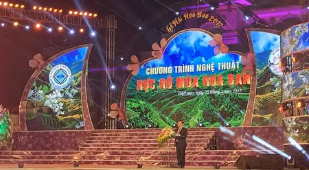 2017年奠边羊蹄甲花节开幕式。