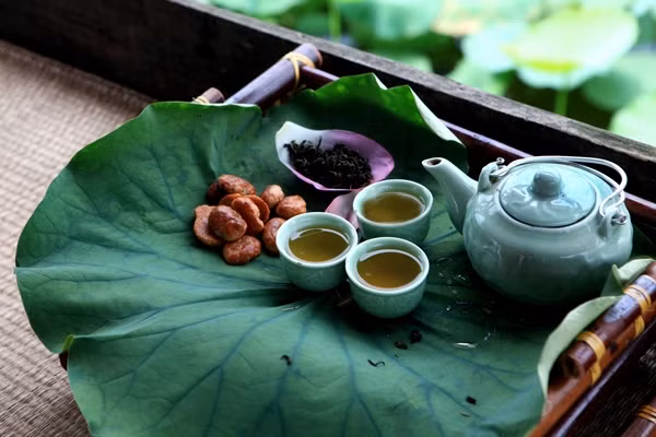 河内人品尝莲花茶特别讲究、高雅和精细。