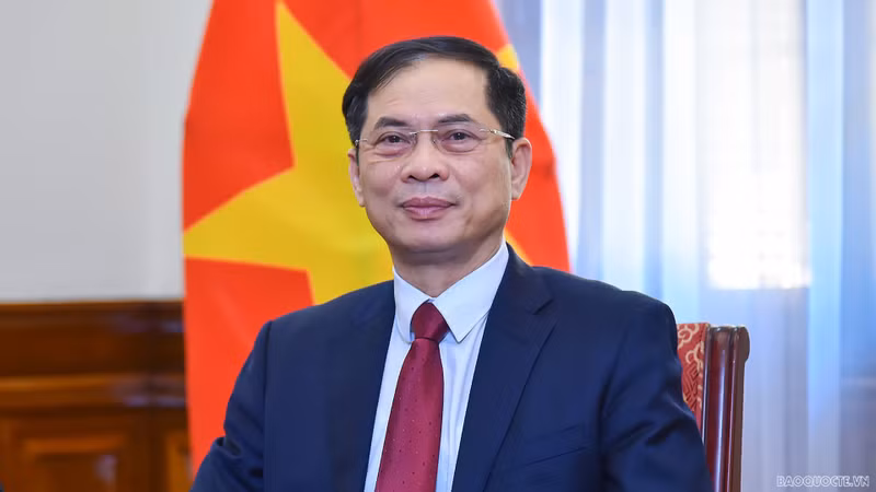 越南外交部长裴青山。（图片来源：国际报）