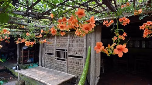 唐林古村的一个角落。