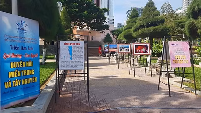 参展作品。