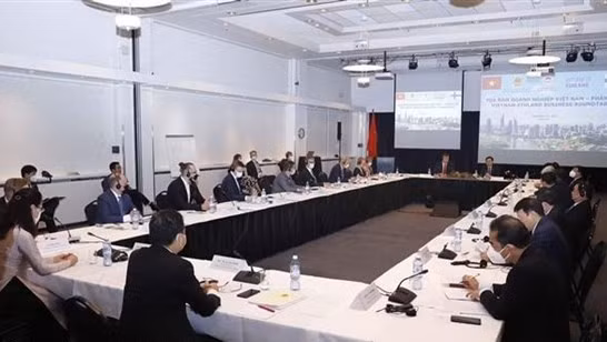 越南—芬兰企业洽谈会。（图片来源：越通社）