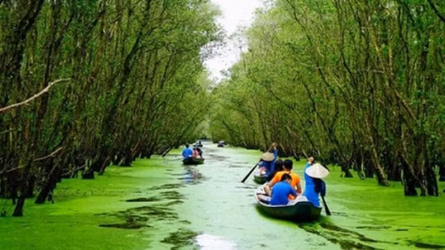 茶师白千层树林是安江省颇具吸引力的旅游目的地。