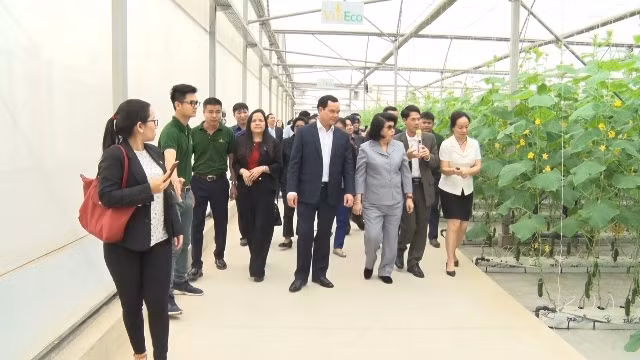 柬埔寨国会第二副主席宫桑达里一行参观河南省VinEco高科技农业生产区。
