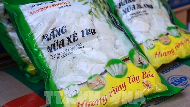 越南和平省向荷兰出口28吨鲜竹笋。（图片来源：越通社）
