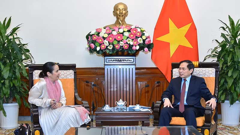 越南外交部长裴青山会见新西兰新任驻越大使崔德妮·切丽·多布森。（图片来源：越南与世界报）