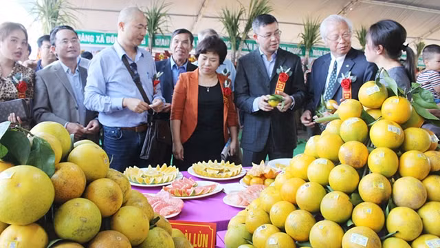 各位代表参观和平省高峰橙子节。（图片来源：和平报网）