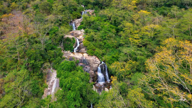 主山世界生物圈保护区拥有大片森林和海洋生物多样性价值。