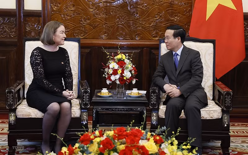 爱尔兰驻越大使迪尔德丽·尼·法伦向越南国家主席武文赏递交国书。