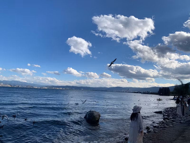 洱海湖的一角。