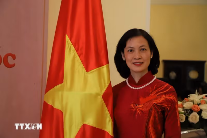 越南驻摩洛哥王国兼任几内亚比绍大使黎金龟女士。