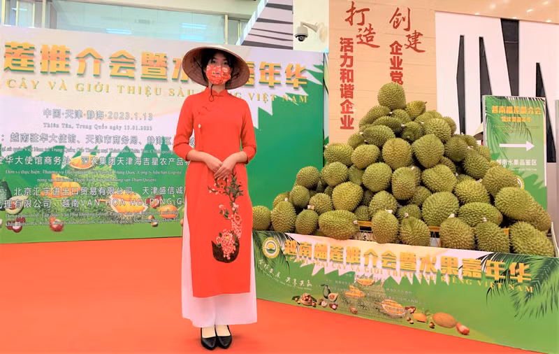 榴莲在天津举行的越南水果节上。（杜有兴 摄）