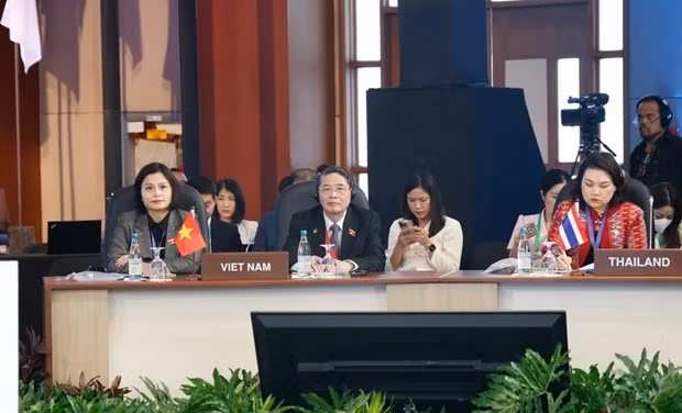 越南国会副主席阮德海在会议上发表重要讲话。