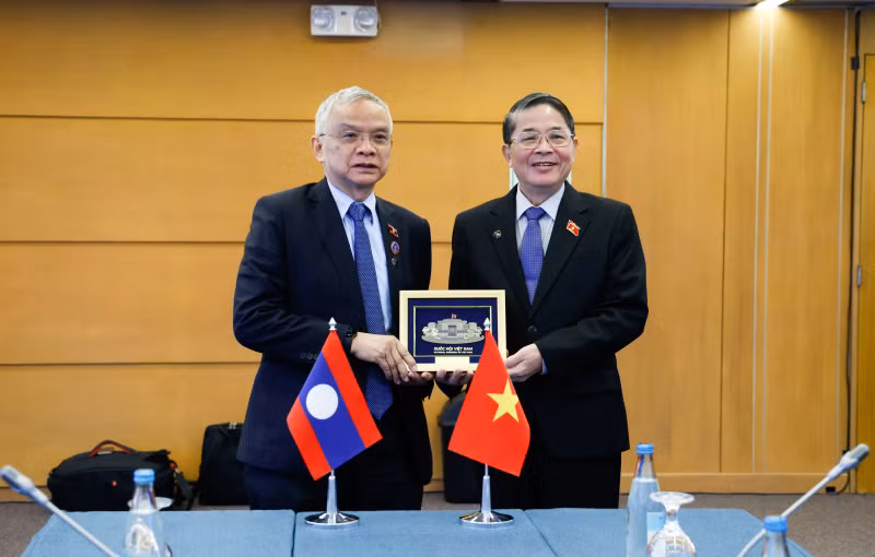 越南国会副主席阮德海与会见老挝国会副主席宋玛·奔舍那合影。