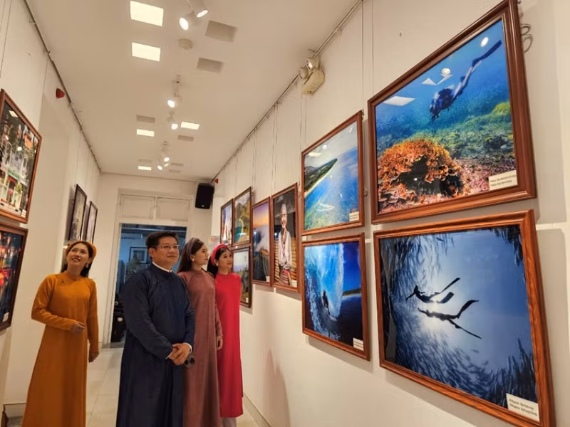 代表们参观展览。