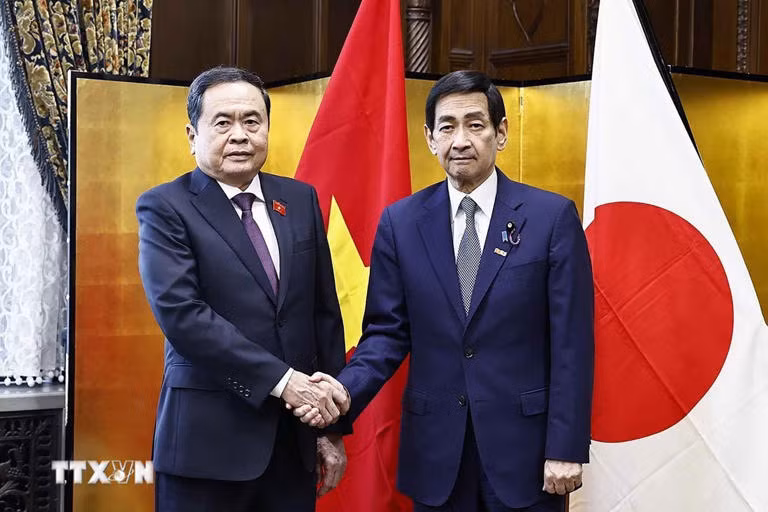 越南国会主席陈青敏与日本参议院议长关口昌一举行会谈。