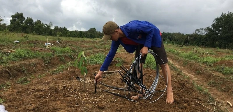 安装节水灌溉系统可有效提升作物产量。