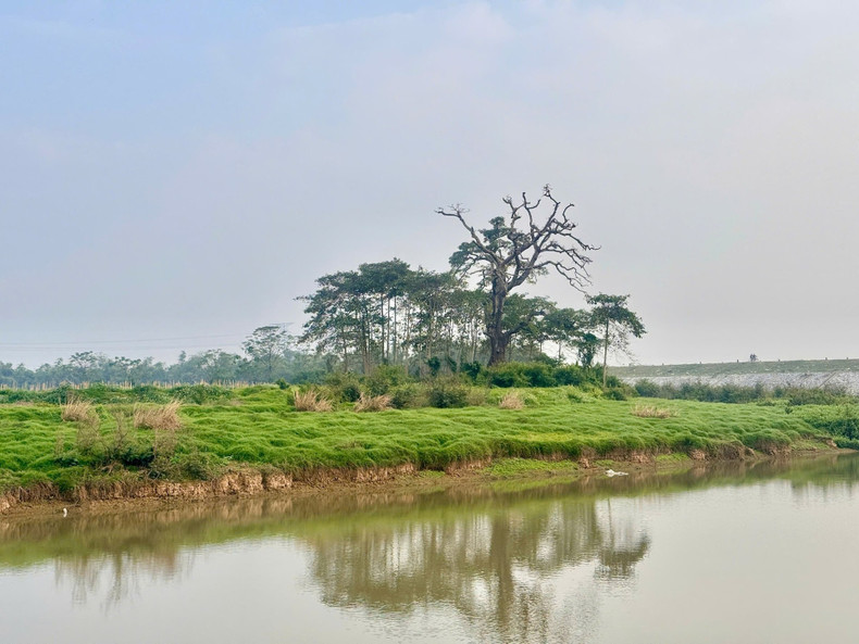 多福乡的美丽景观，可作为举办露营、户外艺术表演等多种体验式旅游活动的场所。
