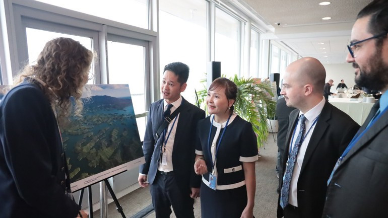国际友人参观展览。 国际友人参观展览。
