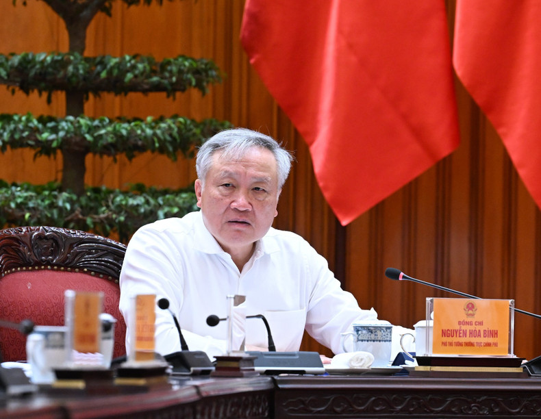 政府常务副总理阮和平发表讲话。 政府常务副总理阮和平发表讲话。