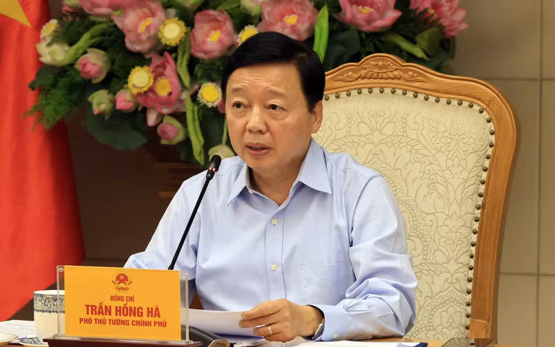 越南政府副总理陈红河。（图片来源：VGP）