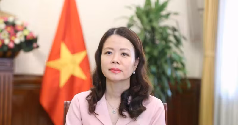 越南外交部副部长阮明姮。