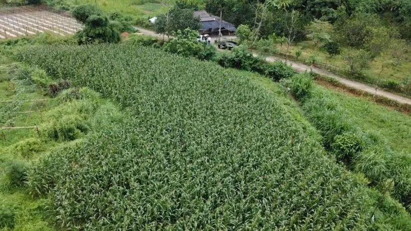 附图。