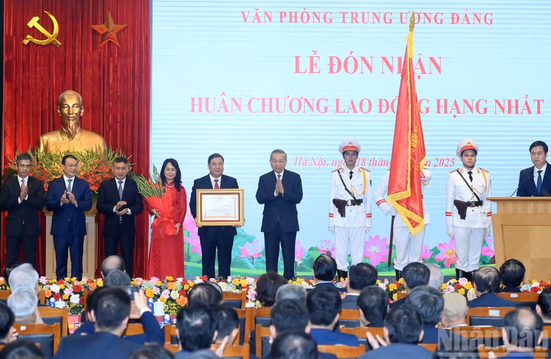 image-3.jpg