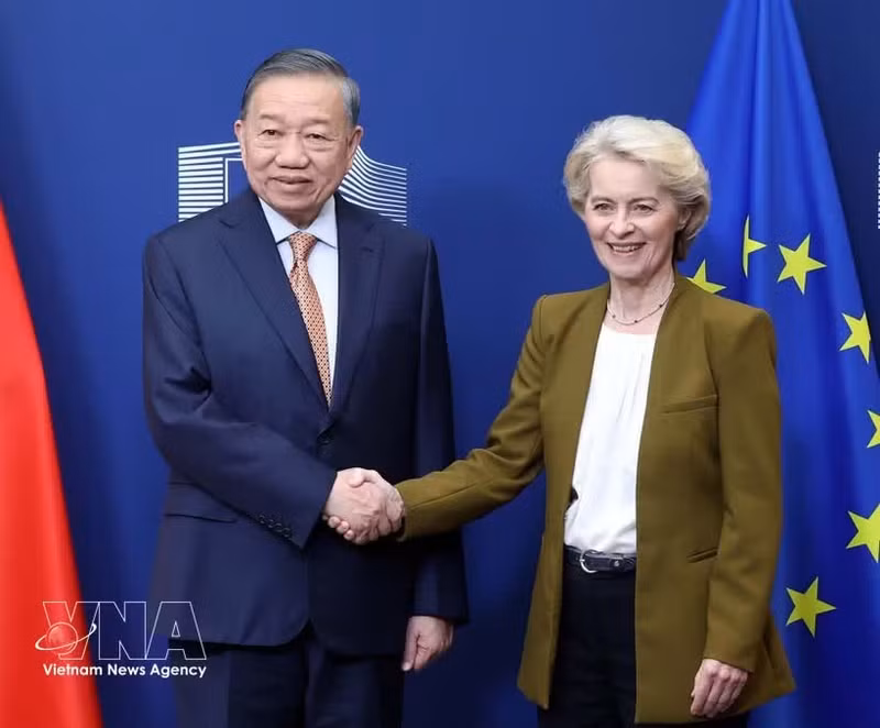 越共中央总书记、国家主席苏林会见欧盟委员会主席乌尔苏拉·冯德莱恩。（图片来源：越通社）