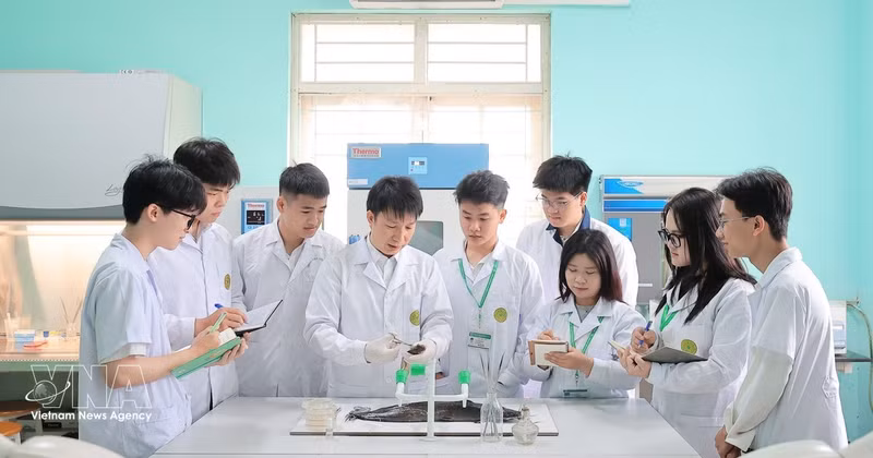 越南农业学院水产系教师指导学生观察水生动物的临床情况和诊断疾病。（图片来源：越通社）