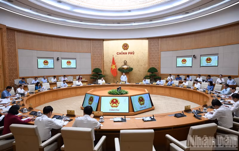 2026年8月政府例行会议场景。