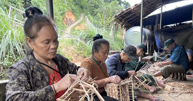 在安那乡，编织水葫芦的可持续生计模式有助于改善山区居民的生活。