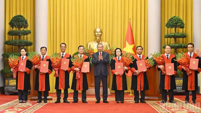 越共中央总书记、国家主席苏林向最高人民法院法官颁发任命决定。
