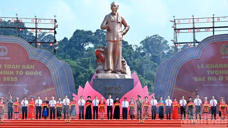 image-1.jpg