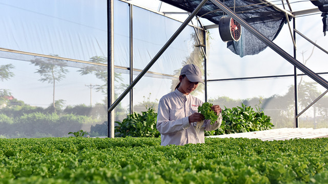 第四次工业革命时代的农场(组图) ảnh 9 第四次工业革命时代的农场(组图) ảnh 9